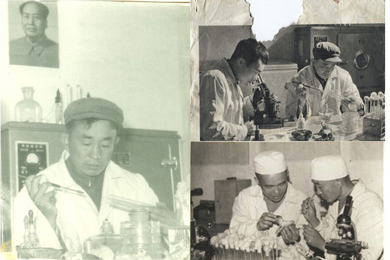 1961_WIصɹrăɹxW̌Wо׺߀ǿհؓ˄WxWĽ̌W΄aֹյČ     
