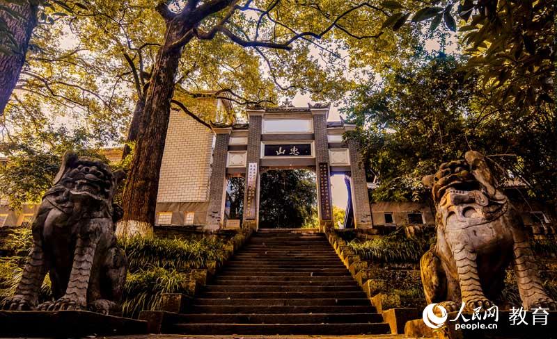 西南醫科大學 風撫醫大，深秋微醺，那片片葉，正蘊著金黃的夢 （李哲/攝）