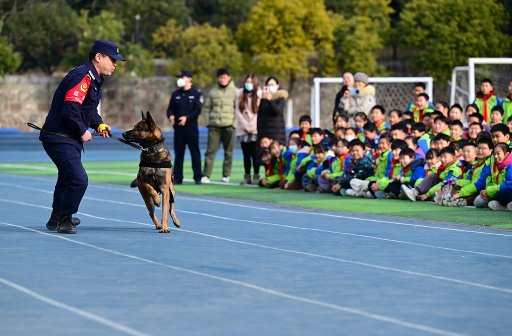 1月7日，小朋友在活動現場觀看警犬訓練。