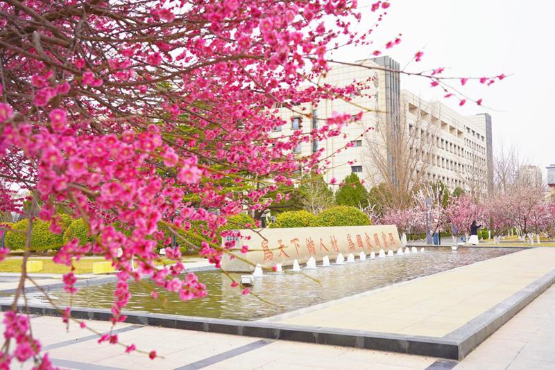 山東大學校園內，紅梅盛開，生機盎然。于芳菲攝