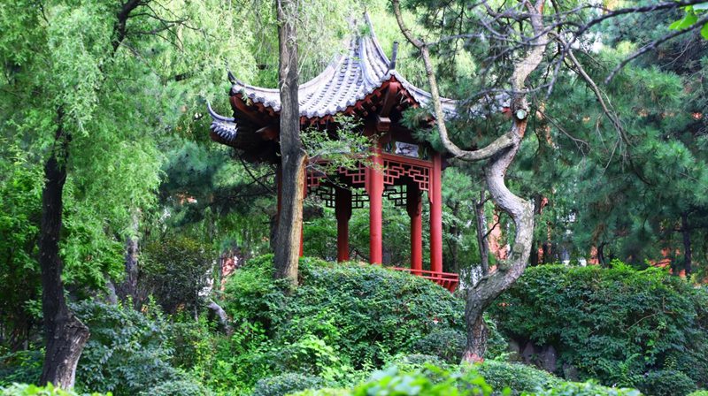 長春理工大學春意襲人，校園換上春裝。杜政磊攝