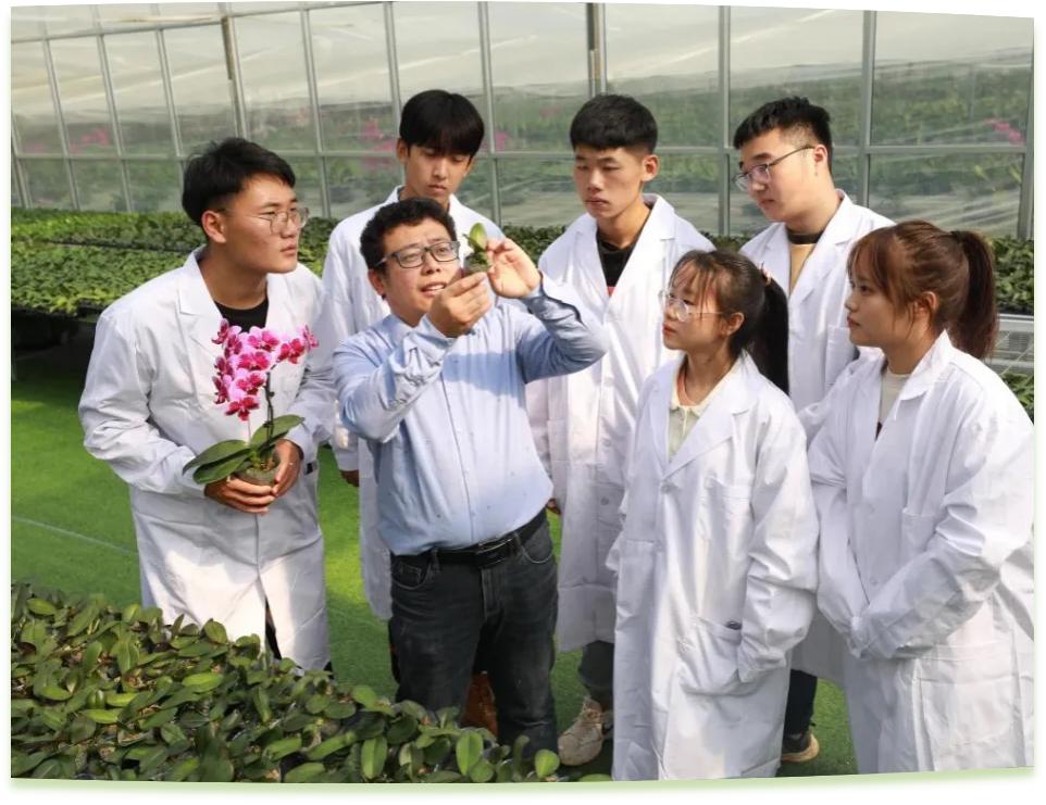 濰坊工程職業學院科技創新團隊為花卉行業從業者作蝴蝶蘭雜交選育技術指導。學校供圖
