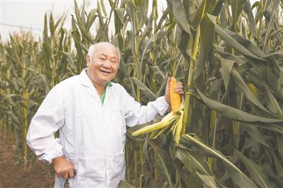 陳偉程在查看玉米生長情況。受訪者供圖