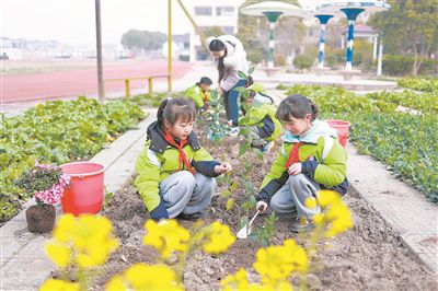 圖為在江蘇省興化市陳堡中心小學校園內的“晨曉農場”，學生和老師一起植樹。新華社發（史道智攝）
