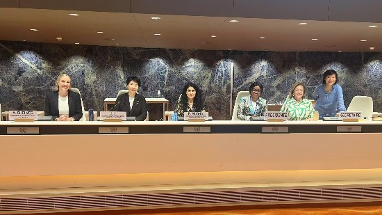 北二外教授、國家文化發展國際戰略研究院常務副院長李嘉珊教授（左二）出席聯合國貿易和發展會議