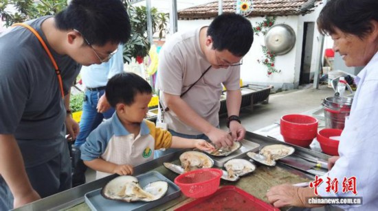 2025年6月，家長與孩子正在進行開蚌取珠體驗。曹丹 攝