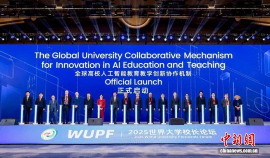 11月8日，論壇現場。(主辦方供圖)